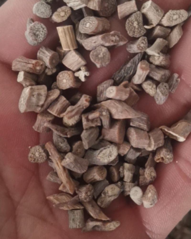 长白山野生牛膝，纯牛膝段，去头去尾精品生晒货