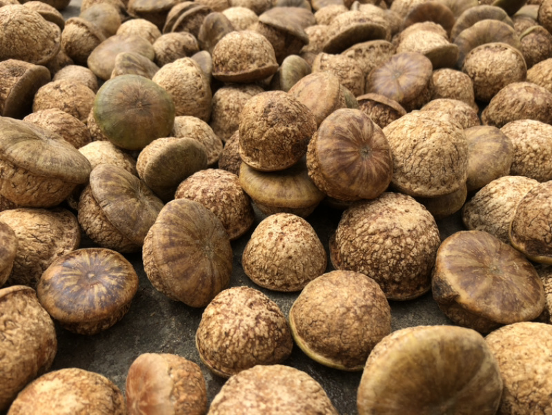 风流果，马古叠，益肾子23年干货一件5斤包邮，送泡酒配方