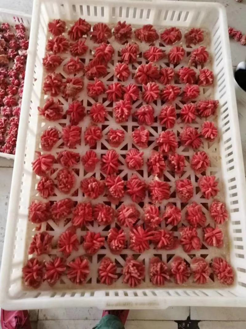 鸭胗花郑州万邦物流园