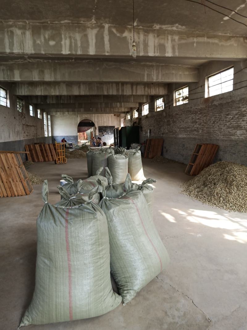 辛夷批发小花统货价格电议调料专用五香粉原料药食