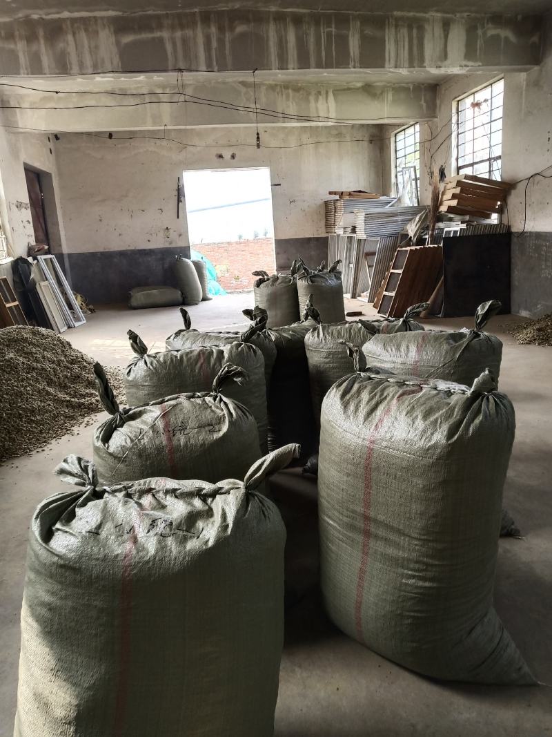 辛夷批发价格可协商辛夷桃毛桃产地直销药食同源