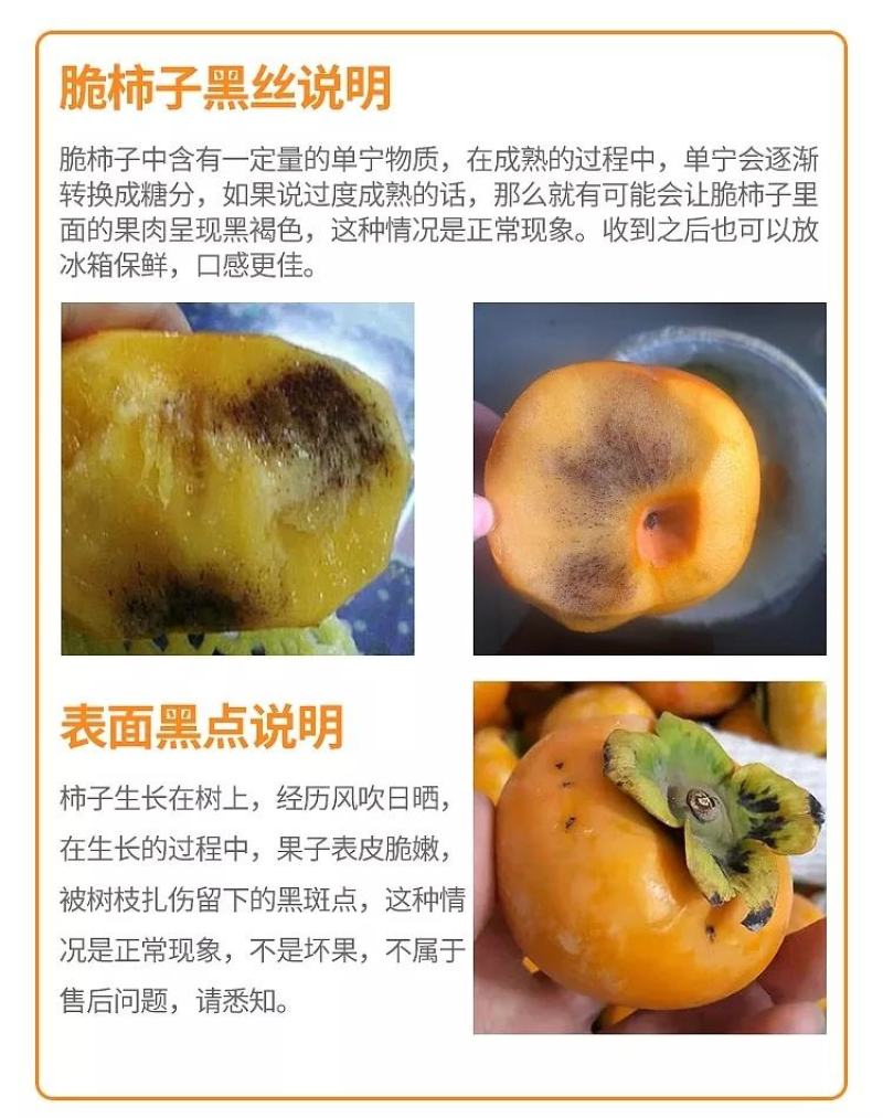 广西恭城柿子代发5斤12.5元，月柿