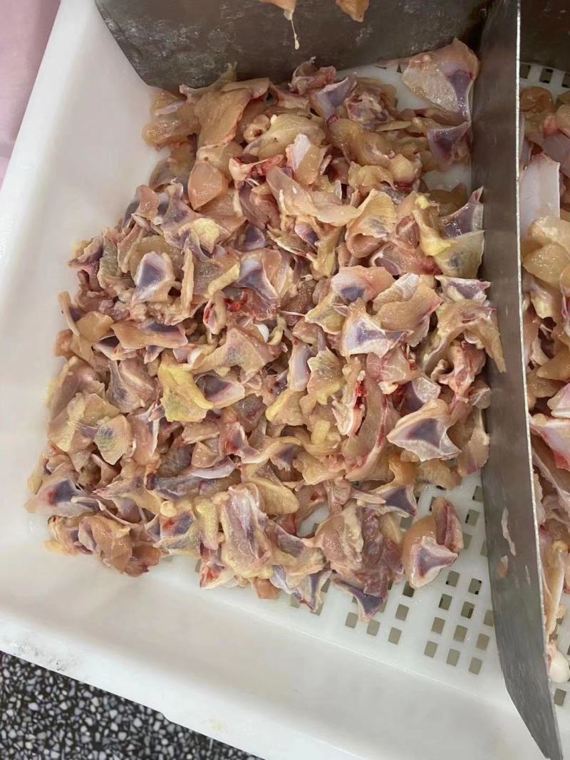 鸡叉骨，手续齐全，货在大连