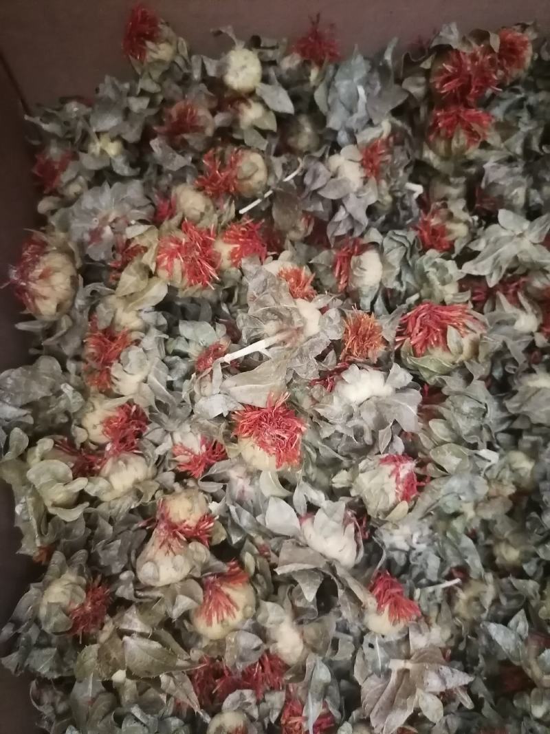 广西当归当归片，干货，当归头切片切片当归头片专业批发，
