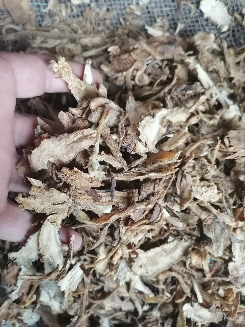 广西当归当归片，干货，当归头切片切片当归头片专业批发，