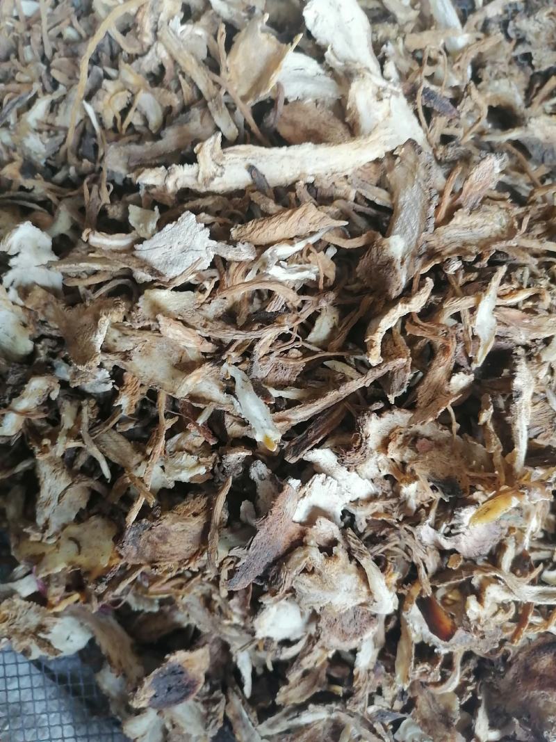 广西当归当归片，干货，当归头切片切片当归头片专业批发，