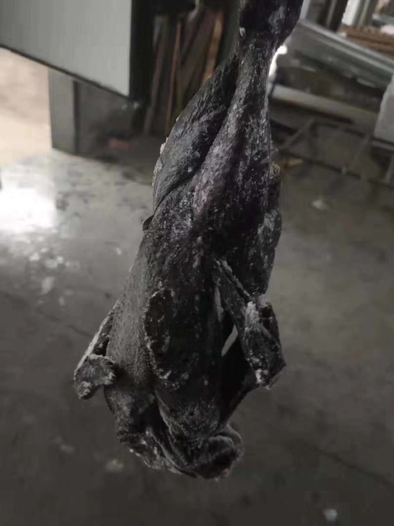 乌鸡纯干无水乌鸡冻品乌鸡