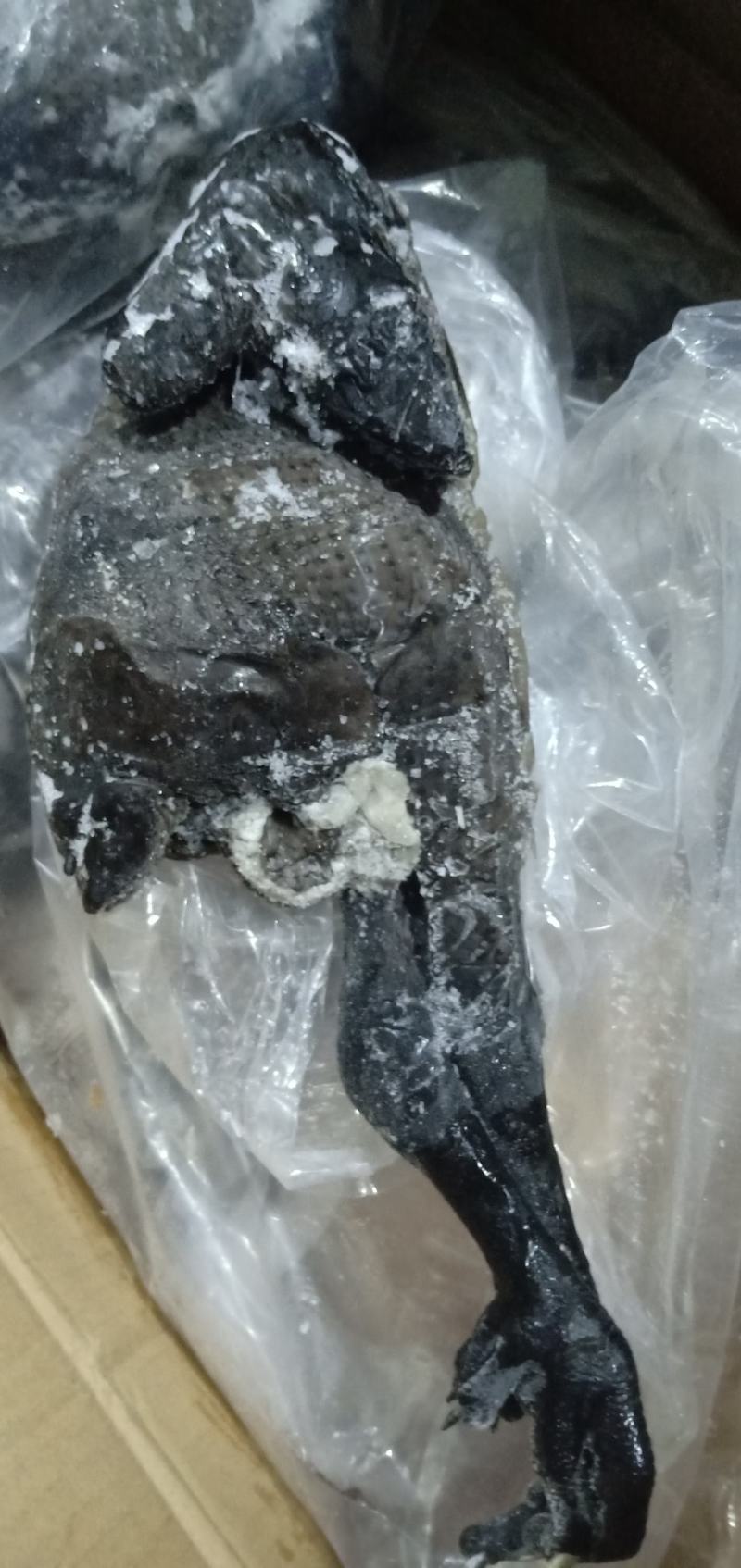 乌鸡纯干无水乌鸡冻品乌鸡