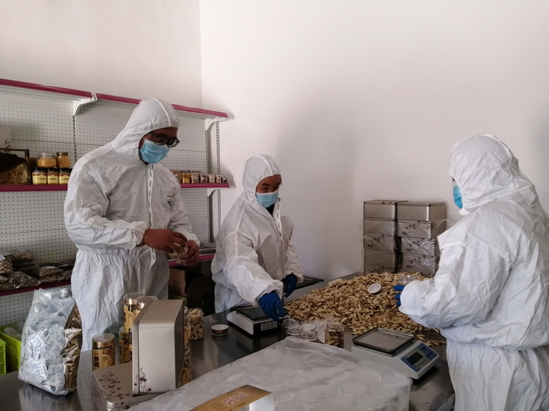 黄芪切片岷县通货规格齐全批发通货