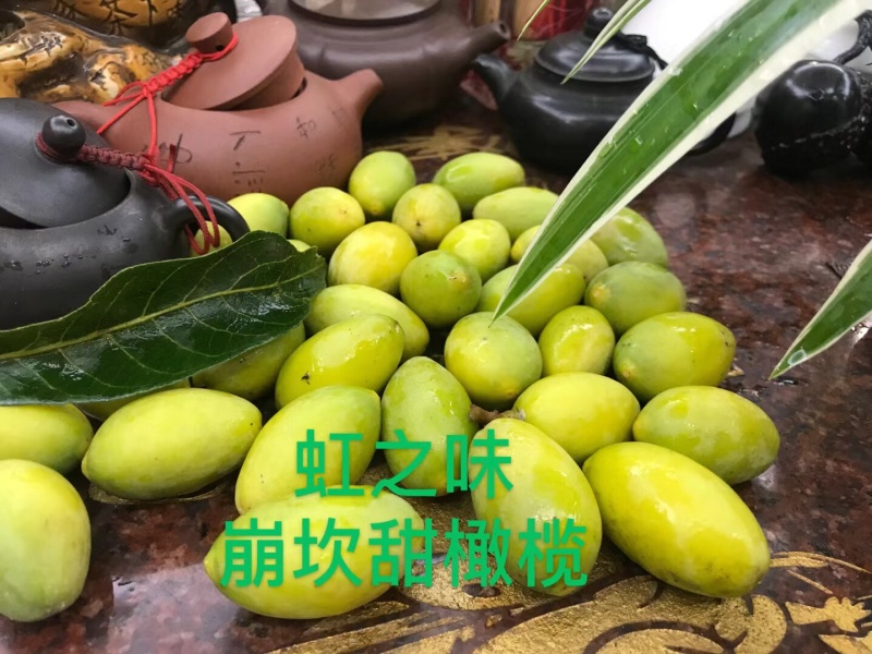 崩坎自产酥甜橄榄酥甜油甘可生腌生吃口感嘎嘣脆