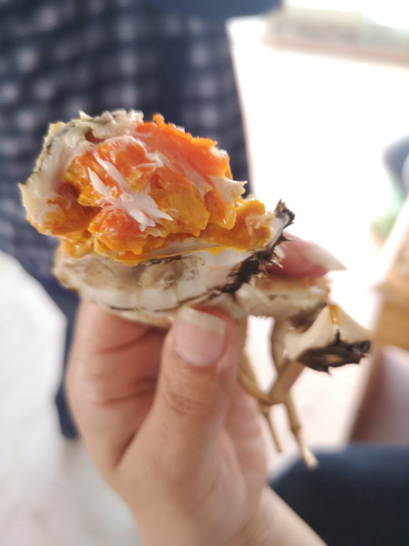 优质湖北河蟹鲜冻湖北河蟹个个满黄满膏保质保量