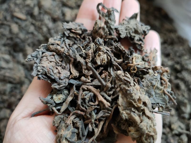 2017年老茶头熟茶一股浓郁的焦糖香汤色透亮红润