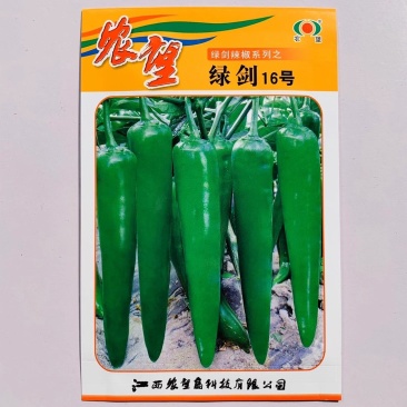 辣椒种子绿剑16号辣椒种子青皮尖椒早中熟中辣口感好