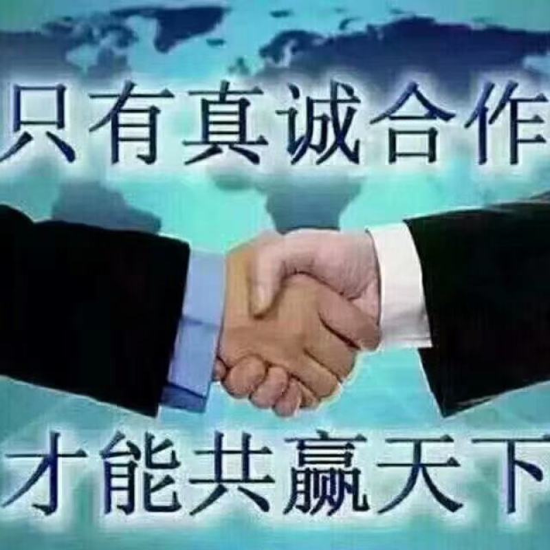 场地直销，工人养殖，黄鳝苗正大9号，良种优质，快大品种