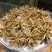 冬虫夏草精品点直销点给你带来好货
