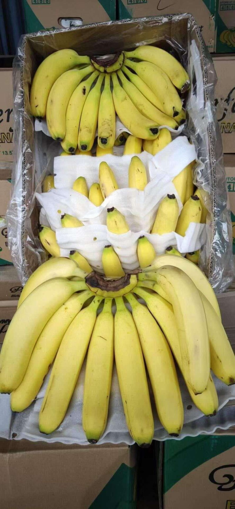 新鲜香蕉，三包产品，