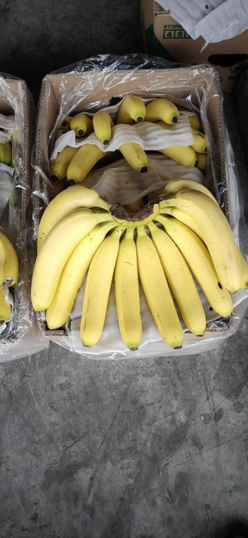 新鲜香蕉，三包产品，