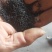 新黄芩种子(纯新种子)保证发芽率95%以上诚信代收