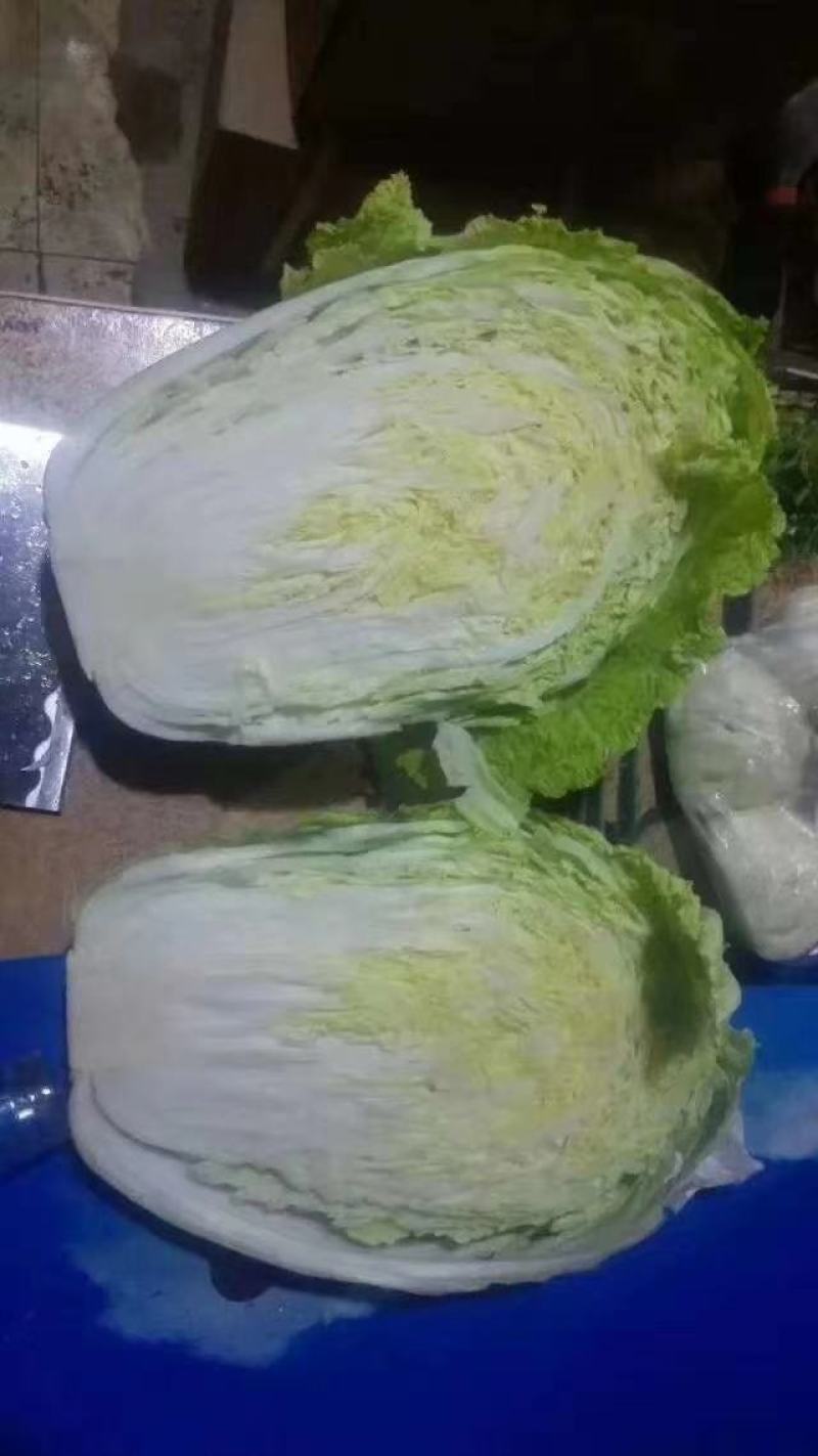 黄心白菜精品青杂三号白菜货源稳定代发全国