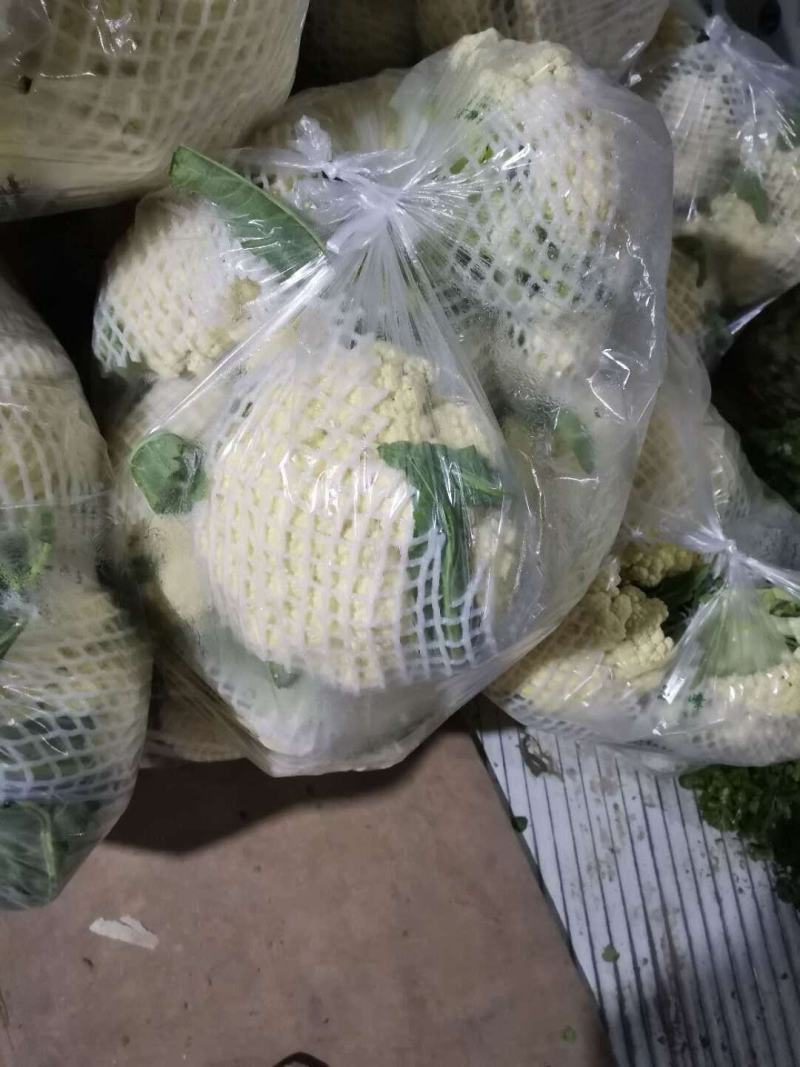 菜花，精品有机散花菜，产地直供，货源充足，质优价廉
