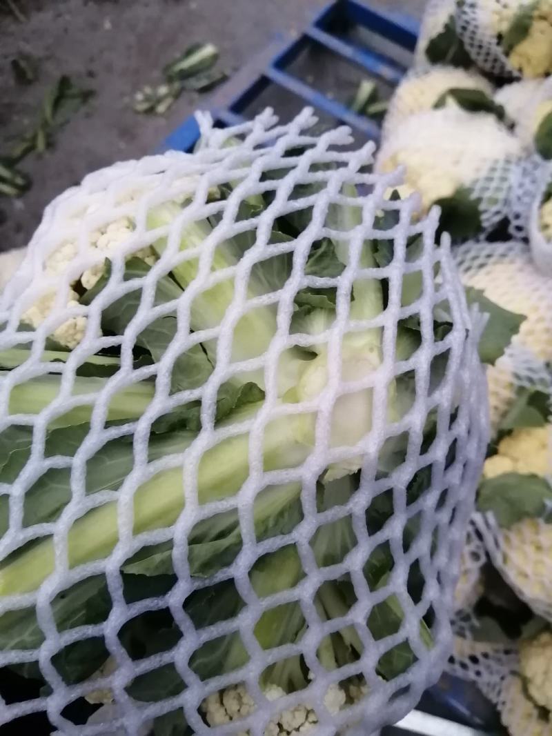 菜花，精品有机散花菜，产地直供，货源充足，质优价廉