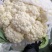 菜花，精品有机散花菜，产地直供，货源充足，质优价廉