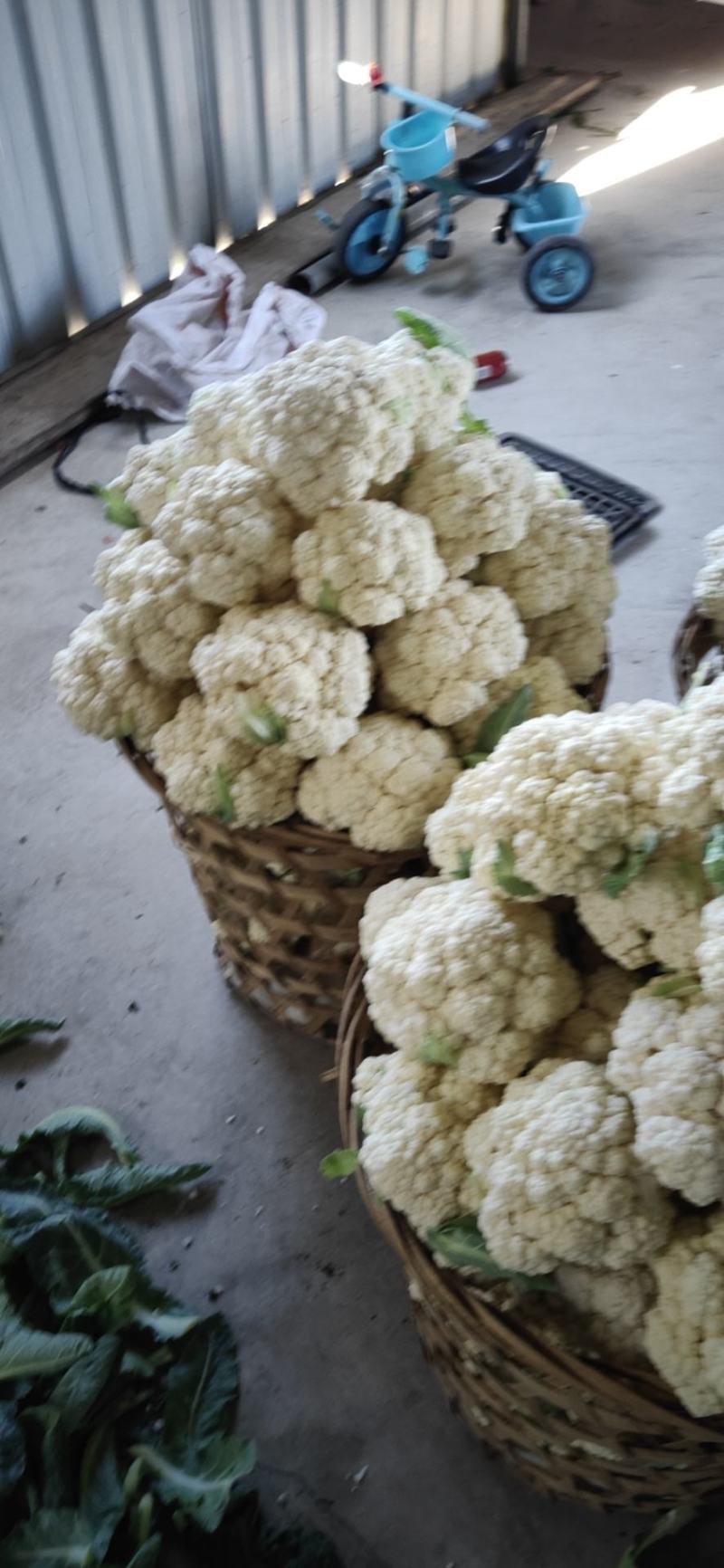 精品花菜//**超市及出口