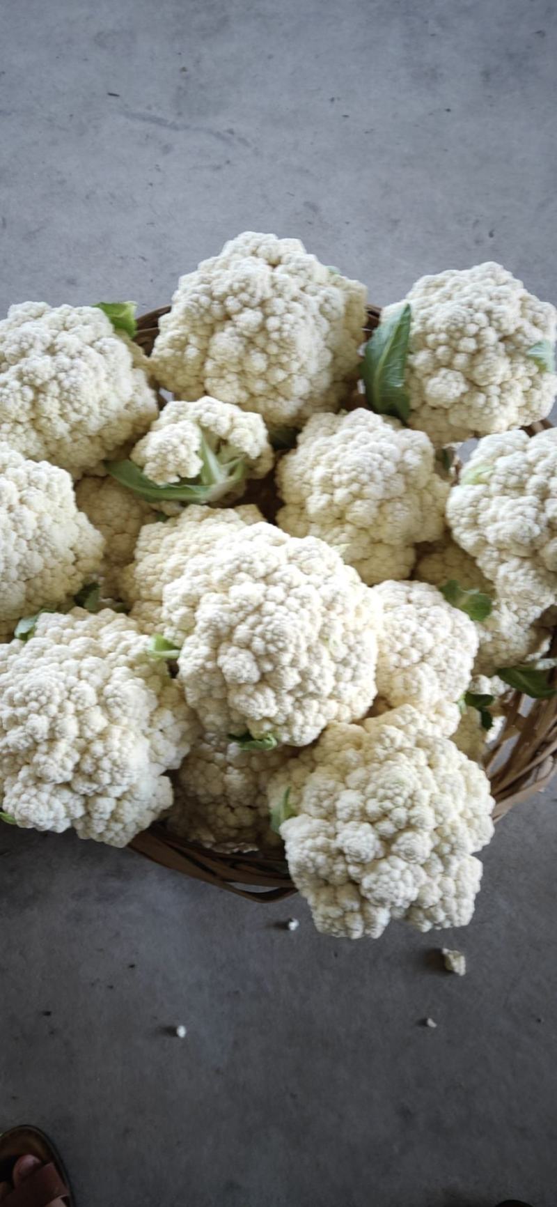 精品花菜//**超市及出口