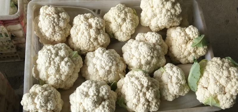 精品花菜//**超市及出口