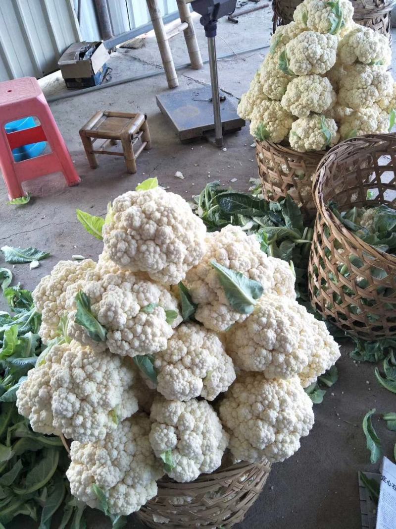 精品花菜//**超市及出口
