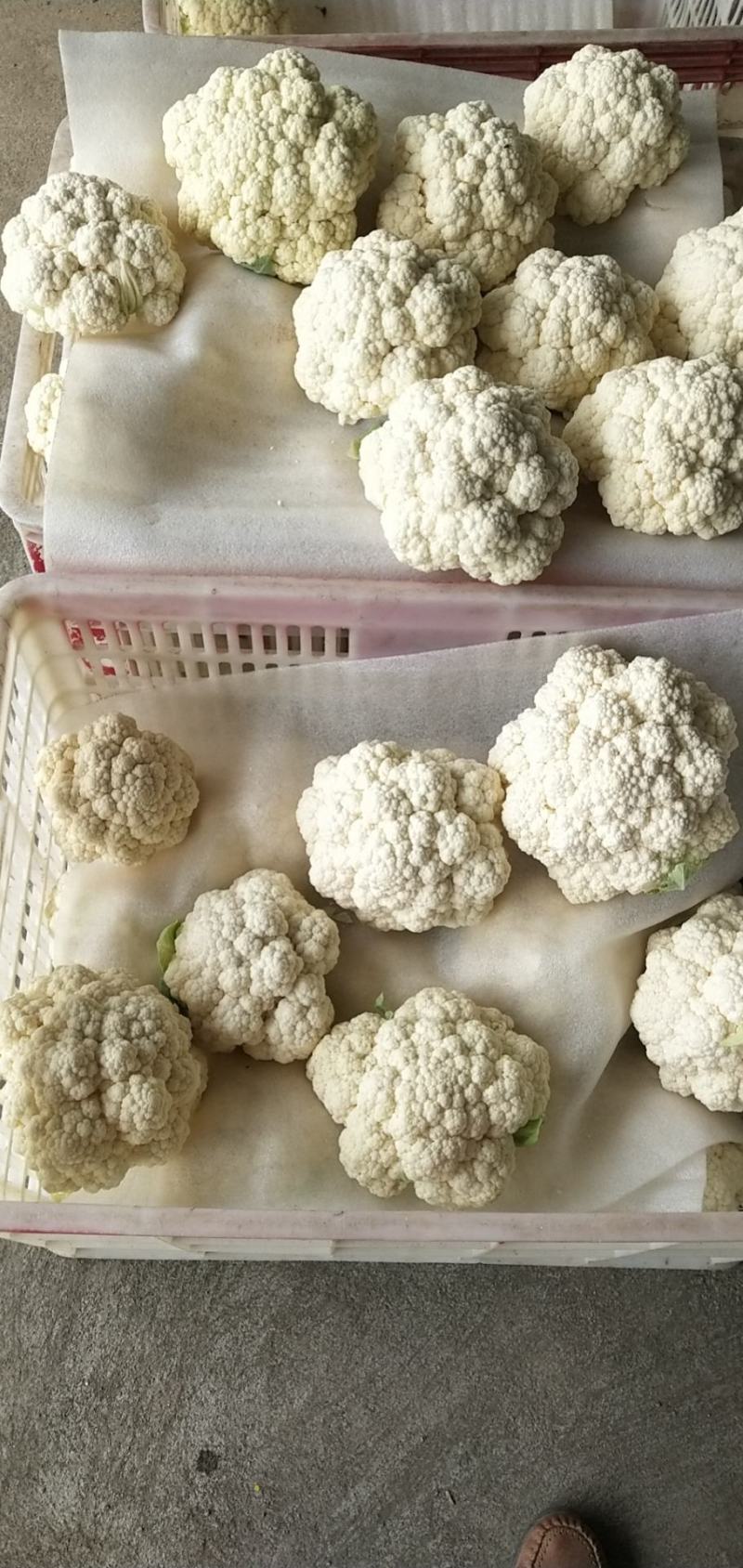 精品花菜//**超市及出口