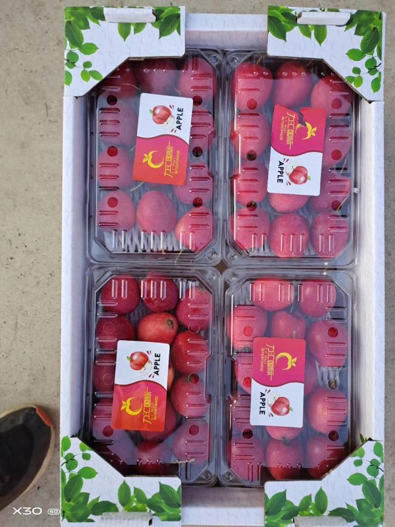 鸡心果（辽宁铁岭特产）地区小气候原因，质量比较好