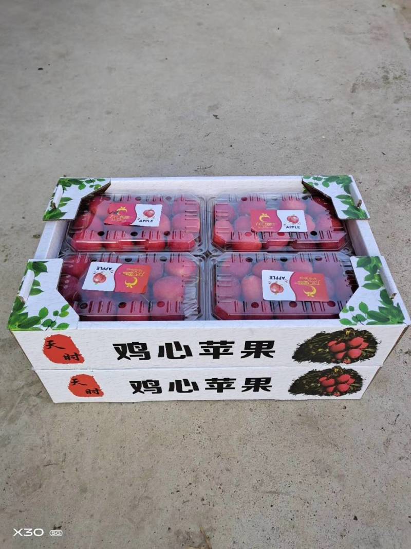 鸡心果（辽宁铁岭特产）地区小气候原因，质量比较好