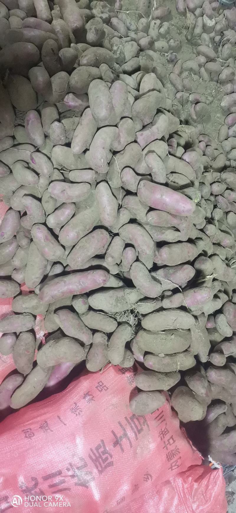 红美土豆，红皮红心，富含花青素口感香糯，颜色诱人
