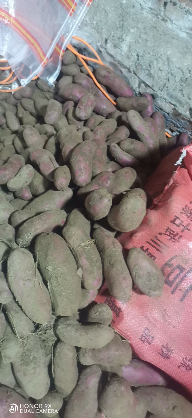 红美土豆，红皮红心，富含花青素口感香糯，颜色诱人