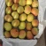 苹果梨产地供应优质细皮苹果梨一手货源价格合口感好
