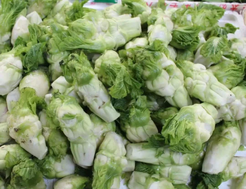 🔥热销🔥儿菜，品种纯正优良品质保证价格美丽