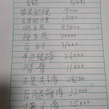 冻猪肉冻猪副冻带皮肥膘冻纤排