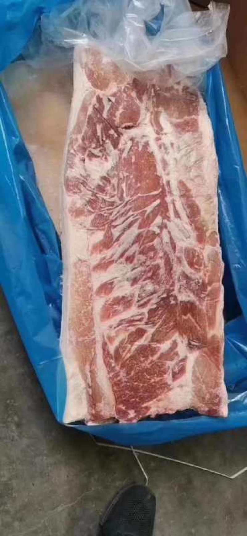 冻猪肉冻猪副冻带皮肥膘冻纤排