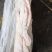 冻猪肉冻猪副冻带皮肥膘冻纤排