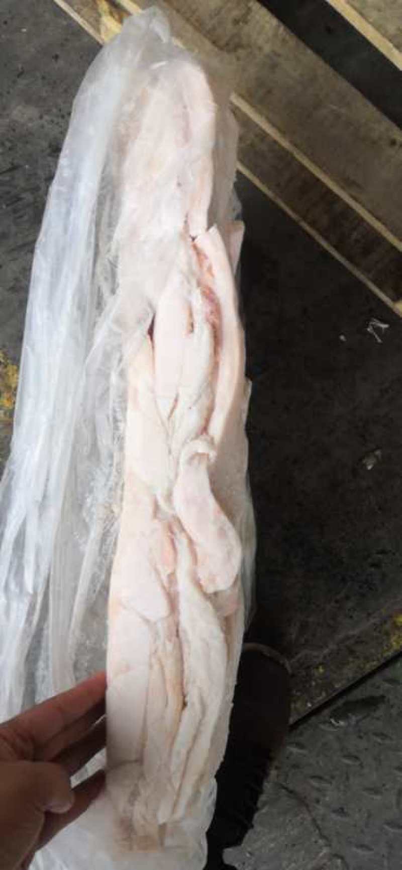 冻猪肉冻猪副冻带皮肥膘冻纤排
