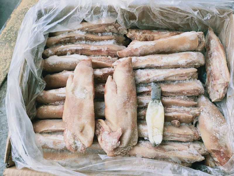 冻猪肉冻猪副冻带皮肥膘冻纤排