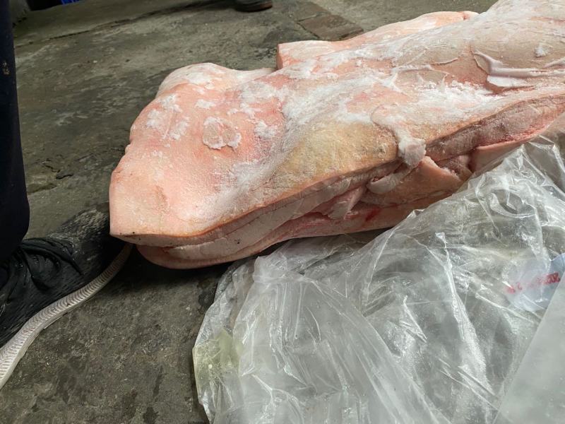 冻猪肉冻猪副冻带皮肥膘冻纤排