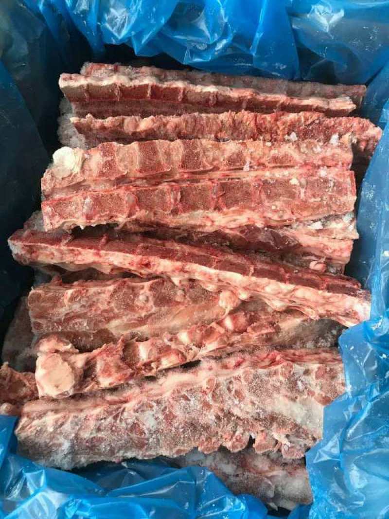 冻猪肉冻猪副冻带皮肥膘冻纤排