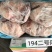 冻猪肉冻猪副冻带皮肥膘冻纤排