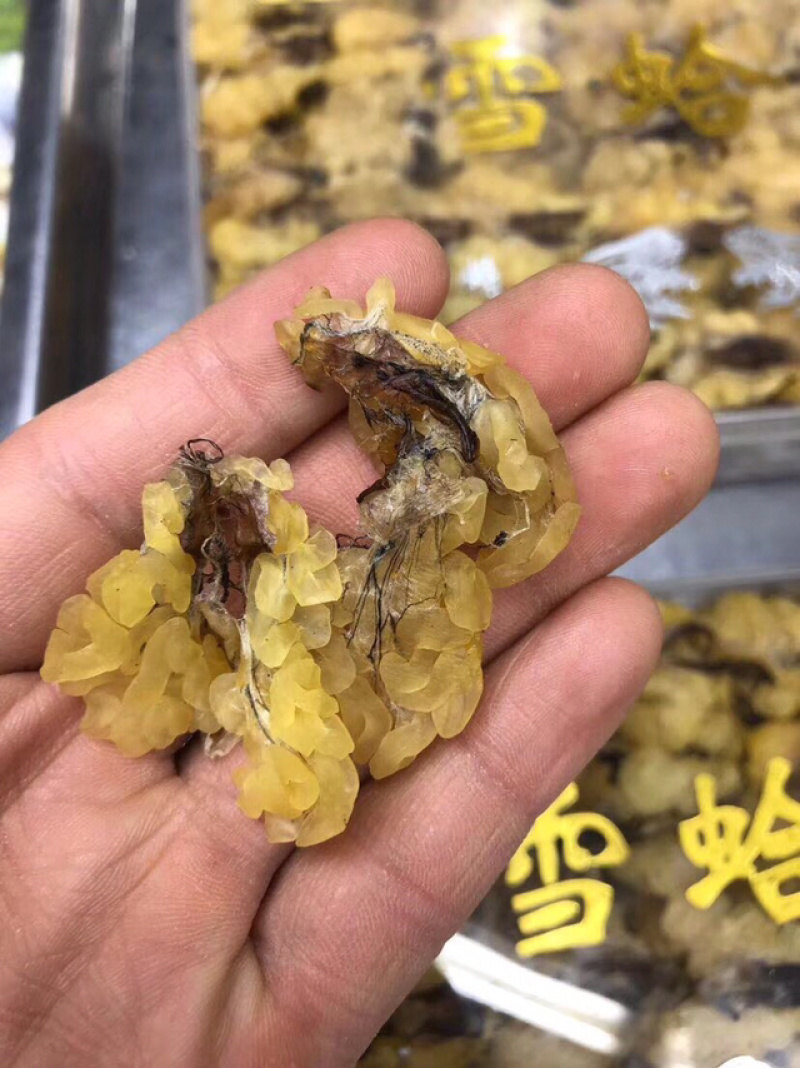 包邮雪蛤朝鲜雪蛤油林蛙油滋补干货女性健康食材养颜护肤美容