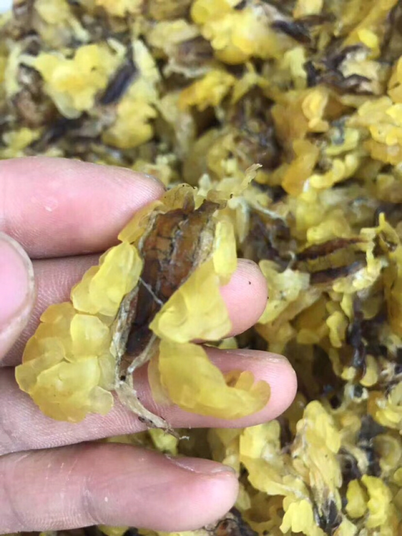 包邮雪蛤朝鲜雪蛤油林蛙油滋补干货女性健康食材养颜护肤美容
