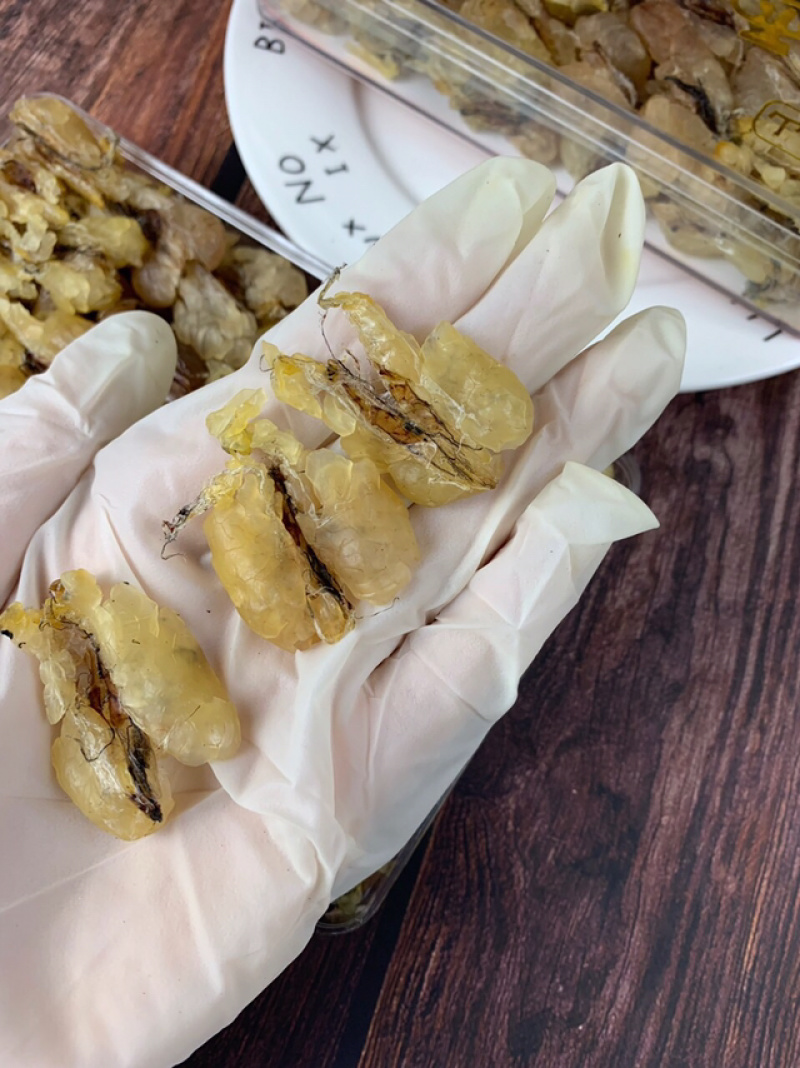 包邮雪蛤朝鲜雪蛤油林蛙油滋补干货女性健康食材养颜护肤美容