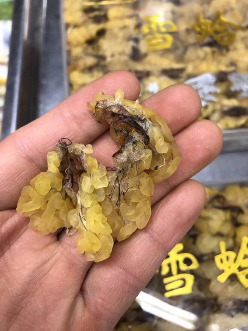 包邮雪蛤朝鲜雪蛤油林蛙油滋补干货女性健康食材养颜护肤美容