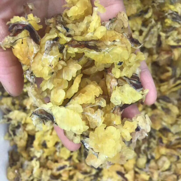 包邮雪蛤朝鲜雪蛤油林蛙油滋补干货女性健康食材养颜护肤美容